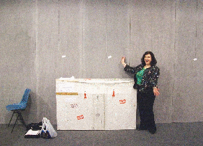 Biennale display setup