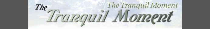 The Tranquil Moment